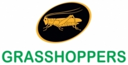 Grasshoppers Executive Committee Code of Conduct