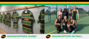 Register to Play for Grasshoppers